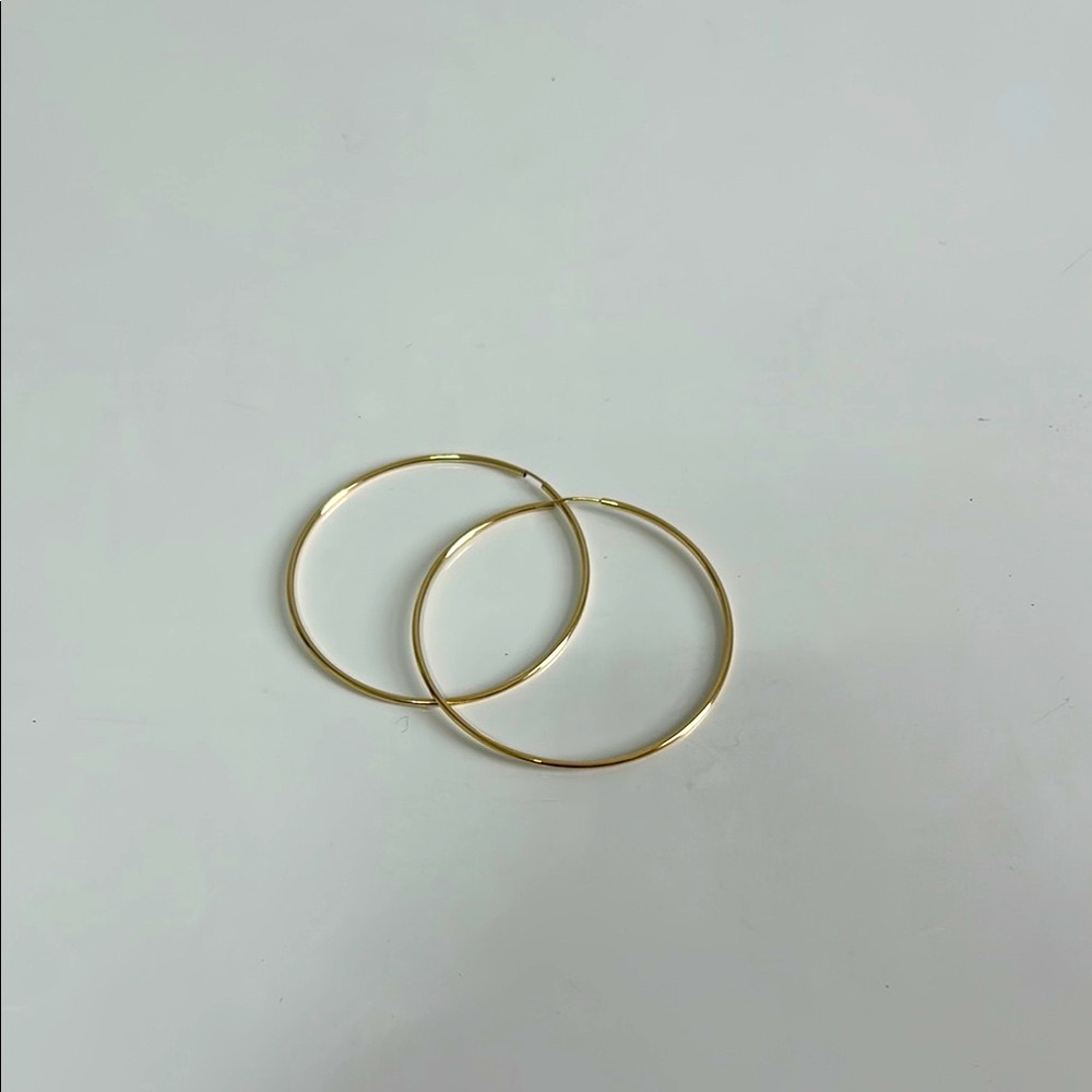 Elegant Gold Hoop Earrings